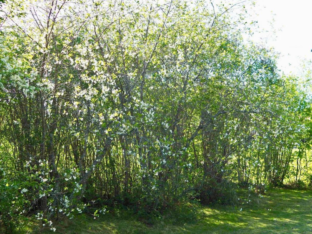 Orsastuguthyrning-Kyrkbyn Villa Eksteriør bilde